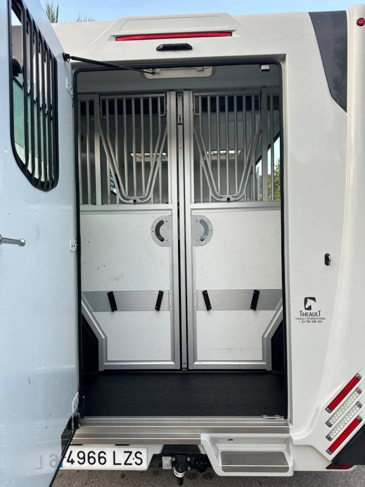 THEAULT PROTEO 5 L SWITCH