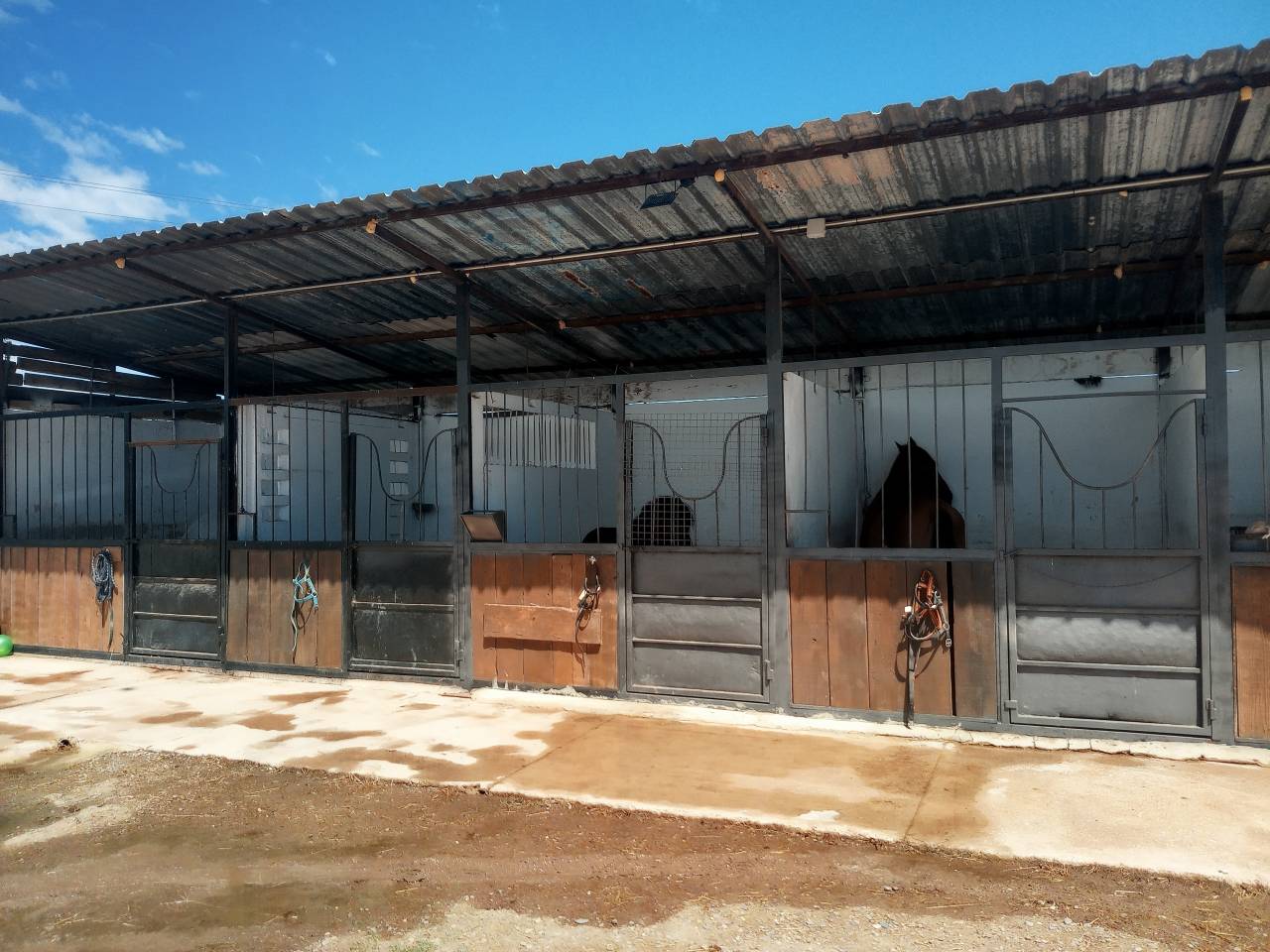 Centro ecuestre pasos de plata 