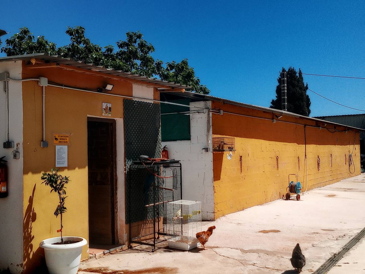 Centro ecuestre pasos de plata 