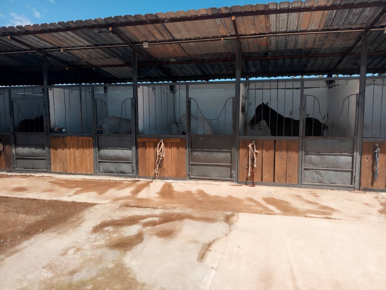 Centro ecuestre pasos de plata 