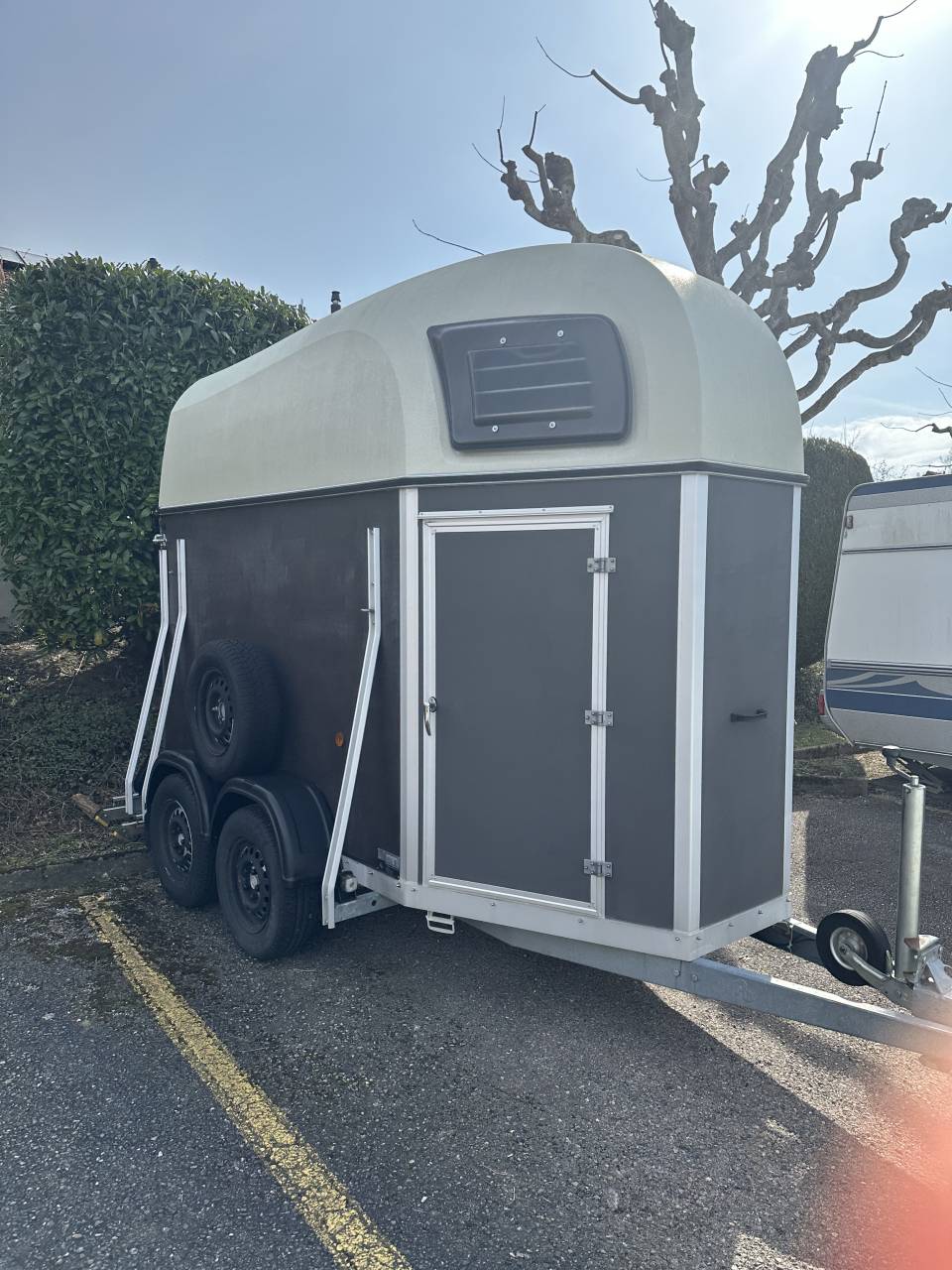 Van caballos Blomert T1 1,5 Caballos 2016 De segunda mano