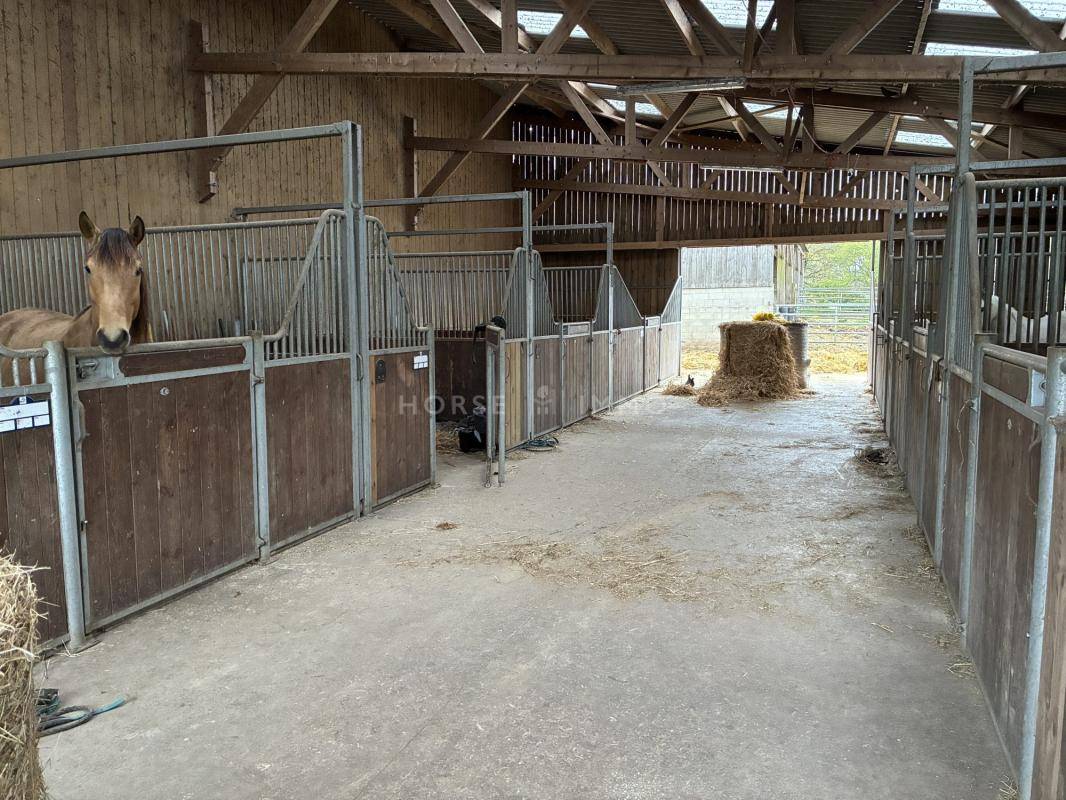 Centro ecuestre En venta Morbihan