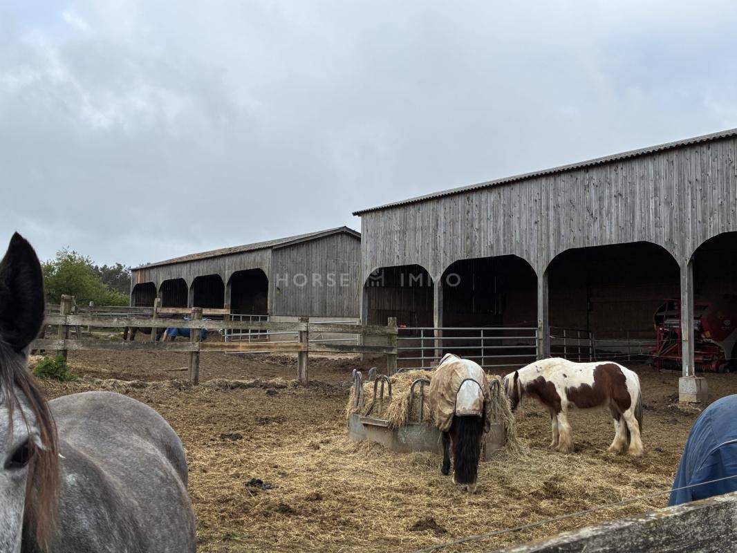 Centro ecuestre En venta Morbihan
