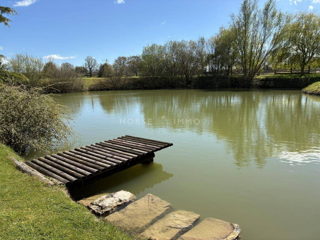 Propiedad ecuestre En venta Sarthe