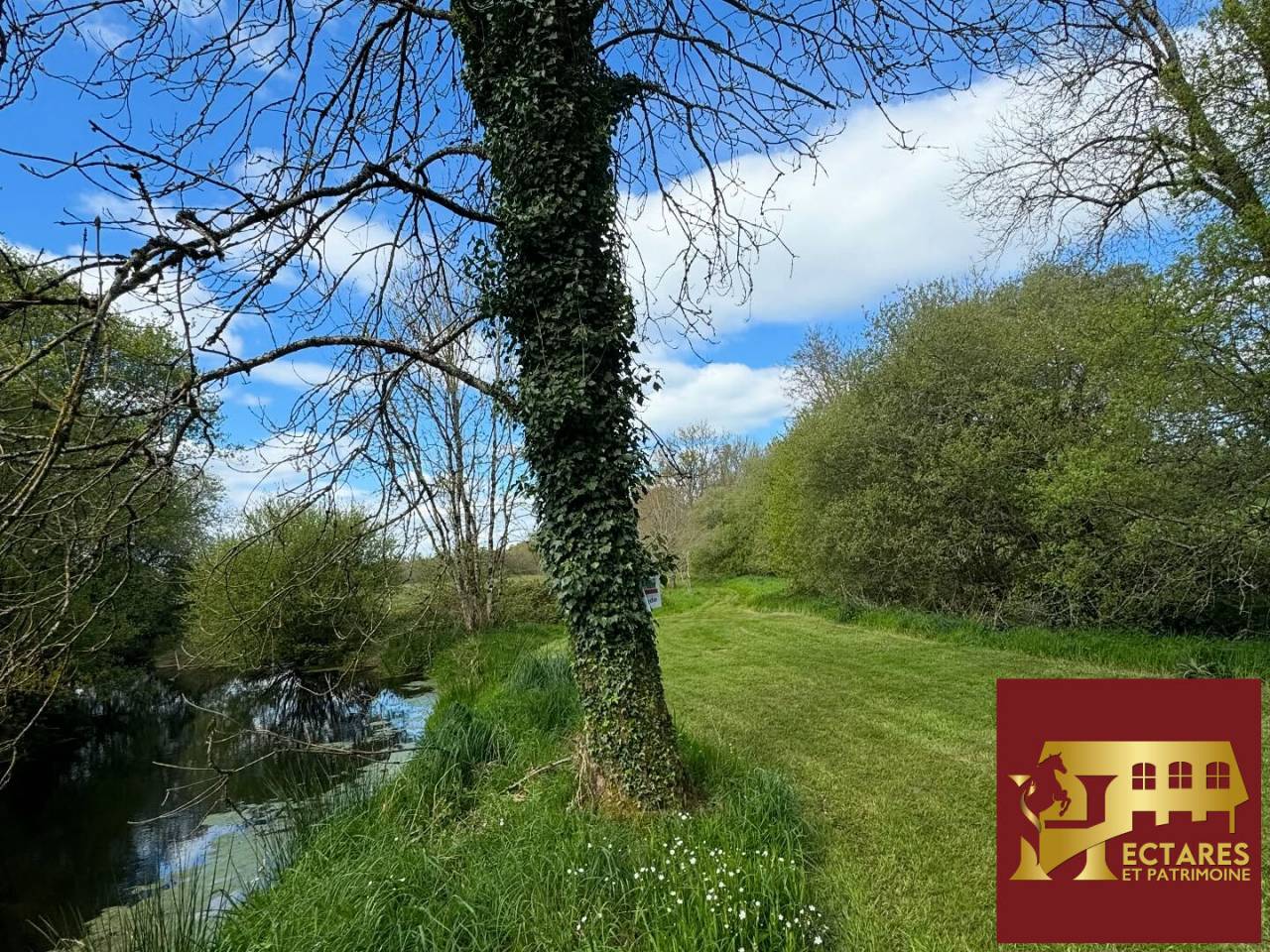 Albergue ecuestre En venta Morbihan