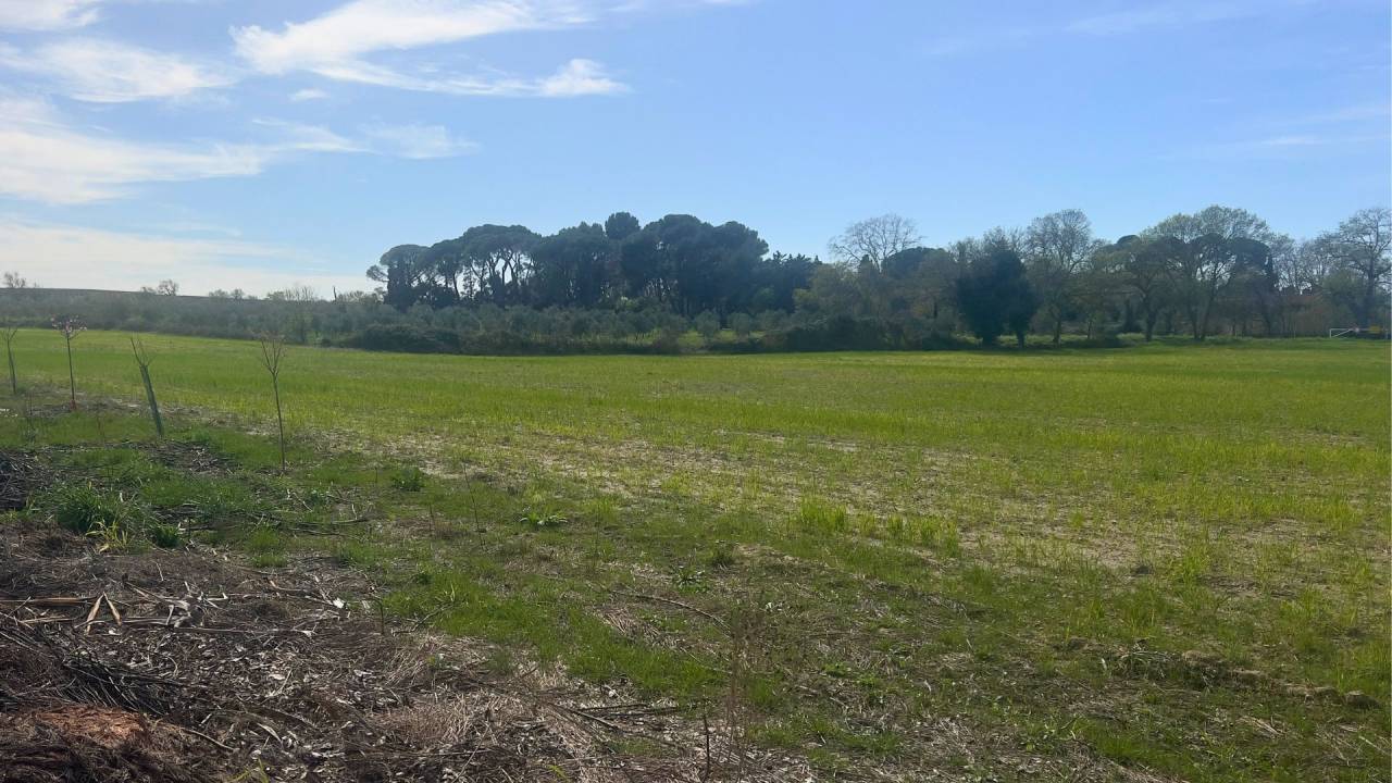 Terreno En venta H&eacute;rault