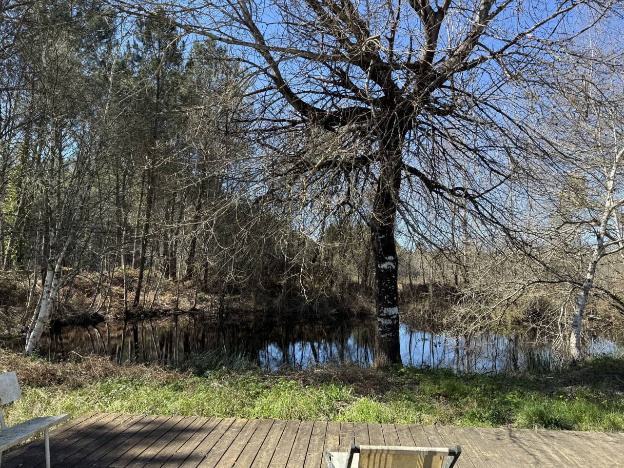 Cuadra de propietarios En venta Gironda