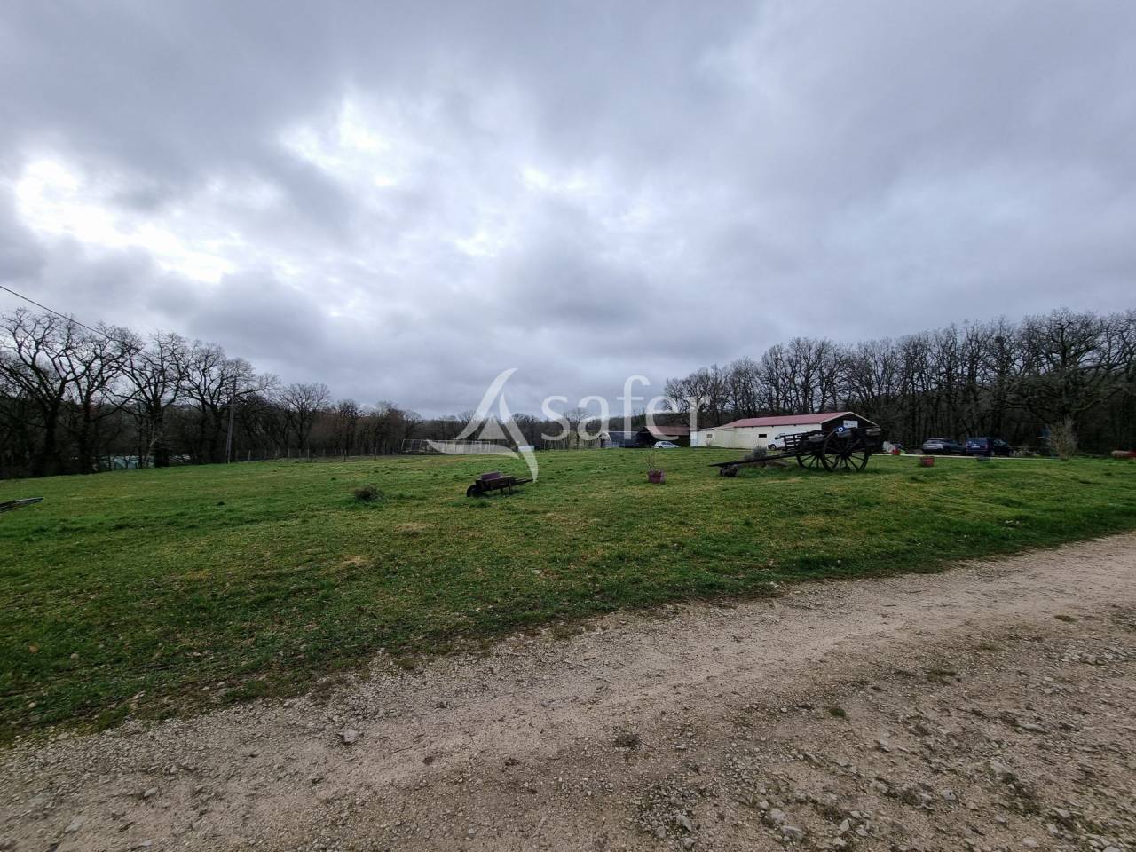 Explotaci&oacute;n porcina En venta Lot