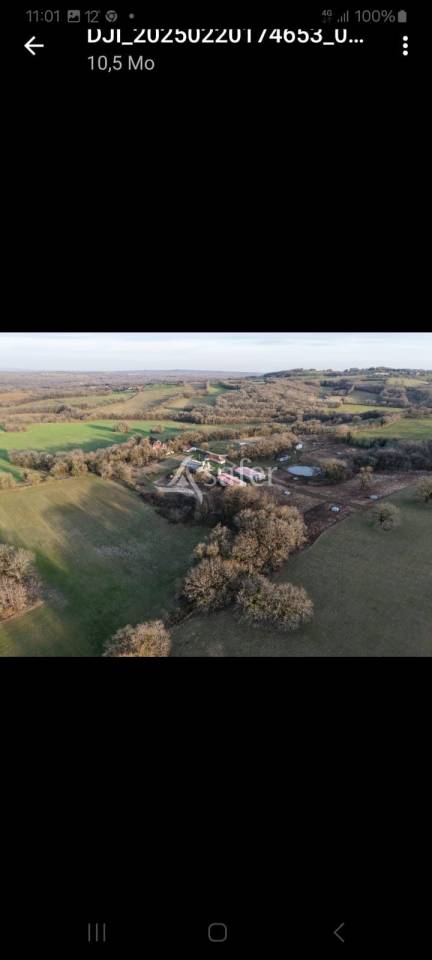 Explotaci&oacute;n porcina En venta Lot