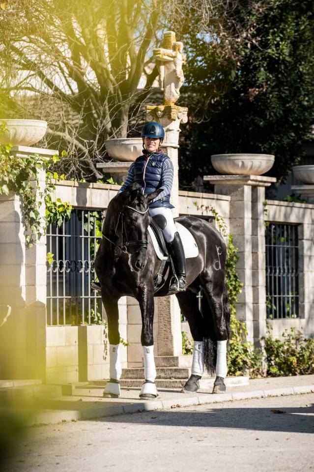 Potranca PRE Pura Raza Espa&ntilde;ola En venta 2026 Negro por MONJE II