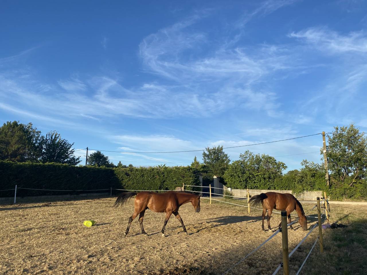 Propiedad ecuestre En venta Gard