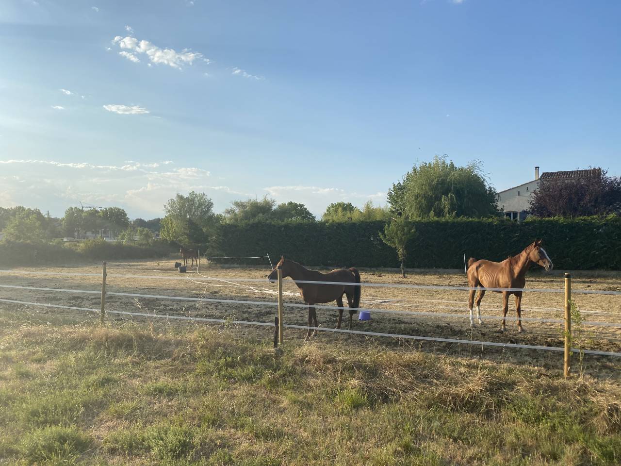 Propiedad ecuestre En venta Gard