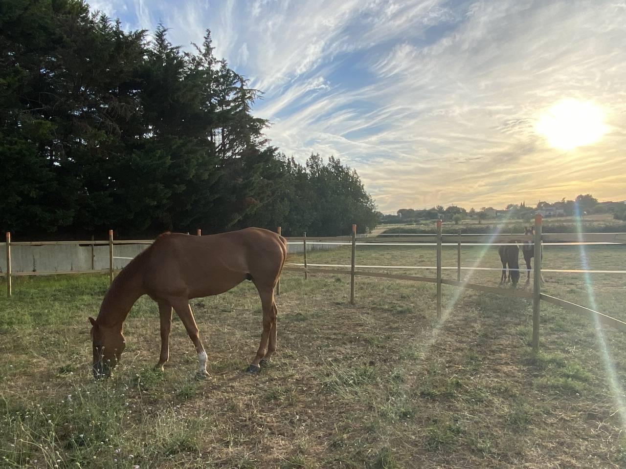 Propiedad ecuestre En venta Gard