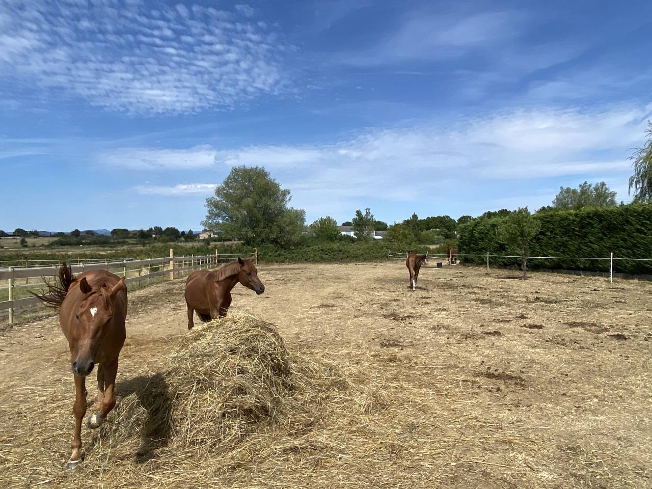 Propiedad ecuestre En venta Gard