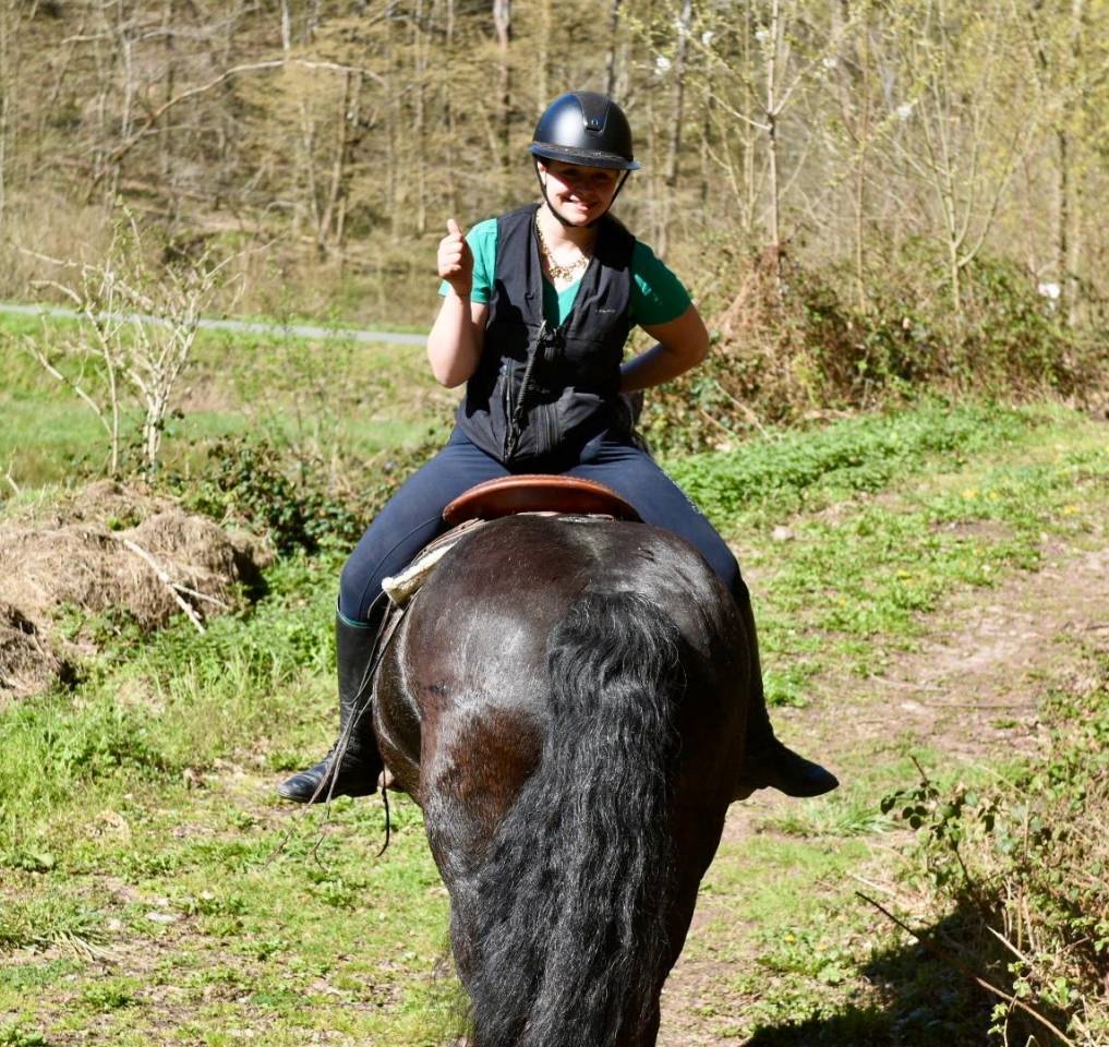 Yegua Origine Constat&eacute;e En venta 2015 Negro