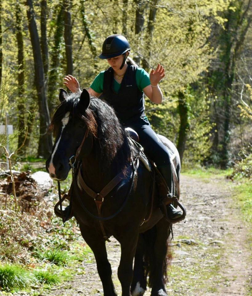 Yegua Origine Constat&eacute;e En venta 2015 Negro