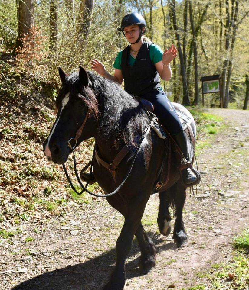 Yegua Origine Constat&eacute;e En venta 2015 Negro