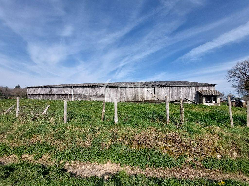 Explotaci&oacute;n ovina En venta Alto Vienne