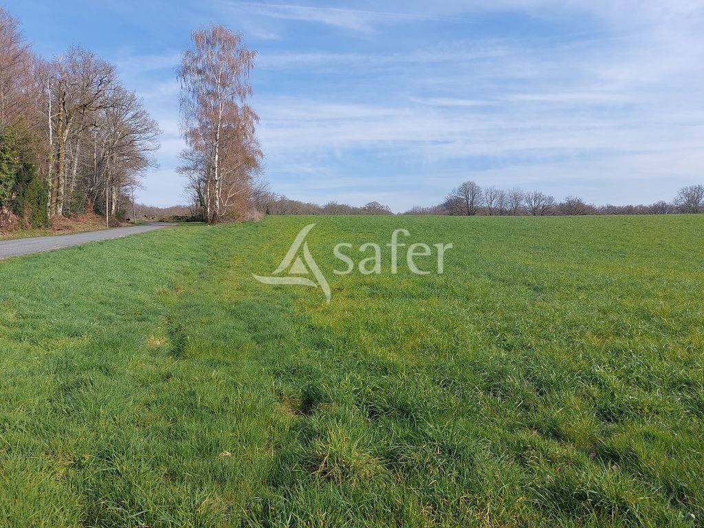 Explotaci&oacute;n ovina En venta Alto Vienne