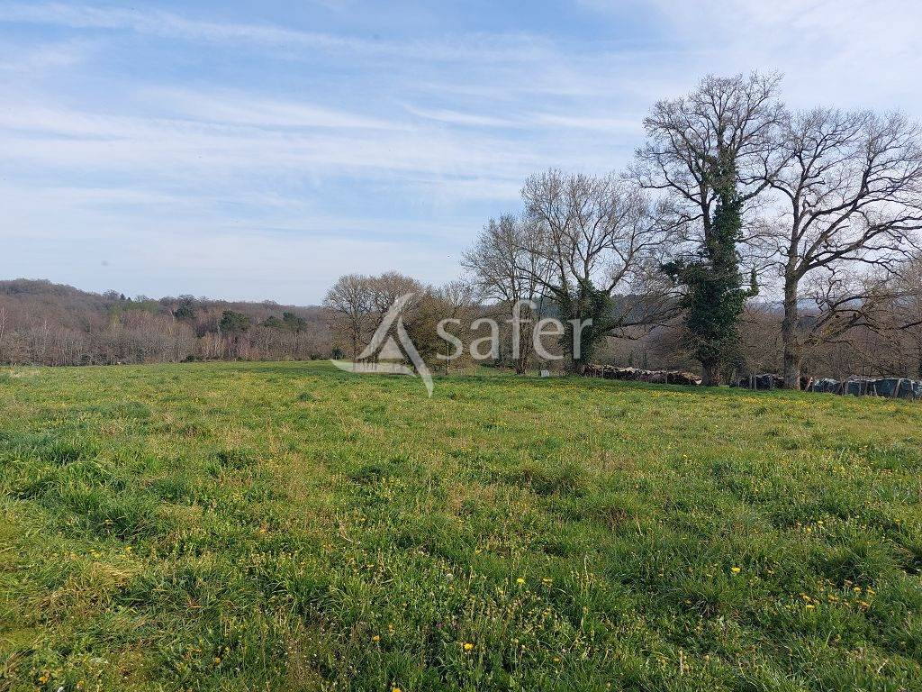 Explotaci&oacute;n ovina En venta Alto Vienne