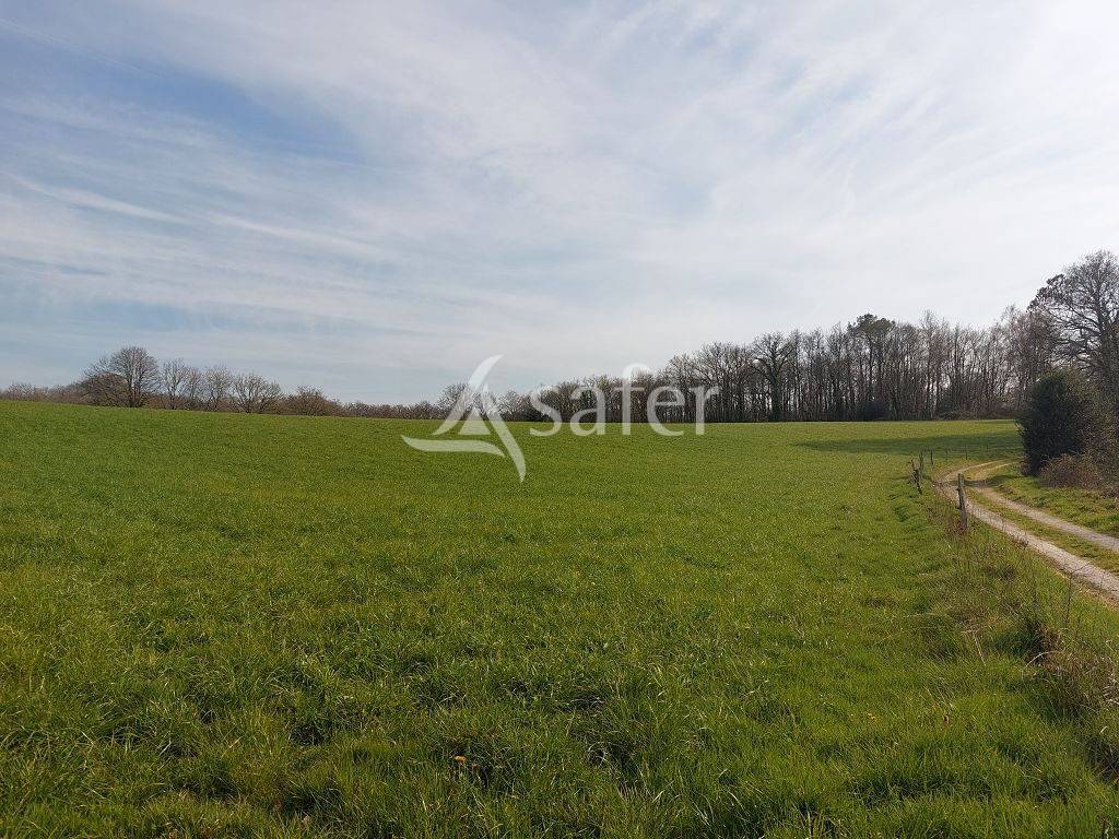 Explotaci&oacute;n ovina En venta Alto Vienne