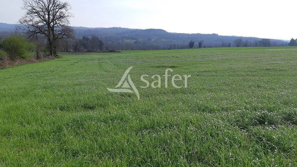 Explotaci&oacute;n ovina En venta Alto Vienne