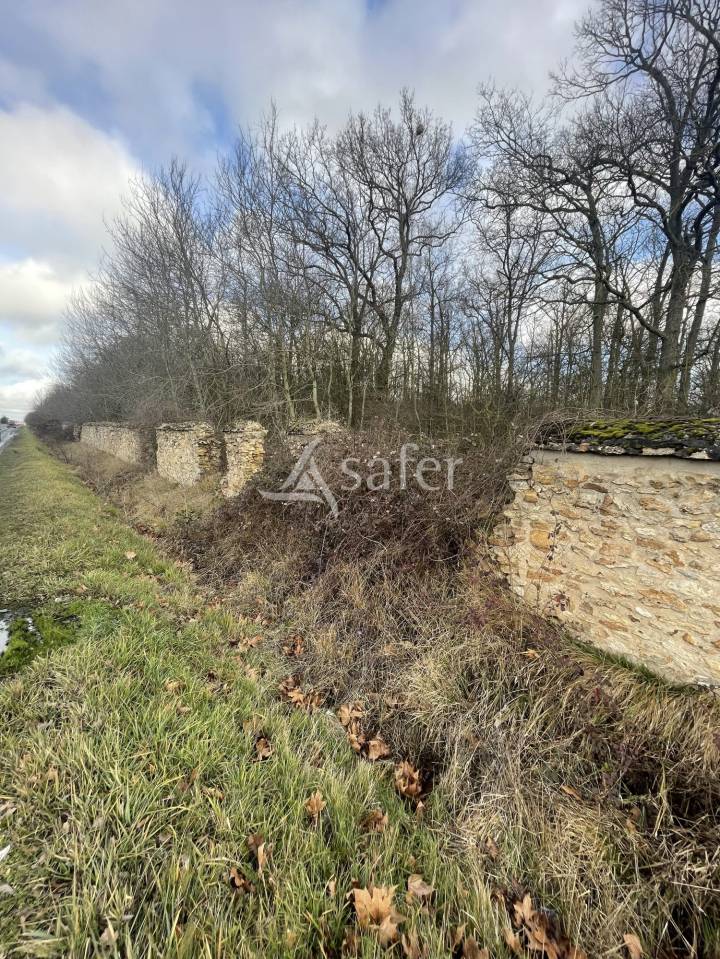 Explotaci&oacute;n forestal En venta Sena y Marne