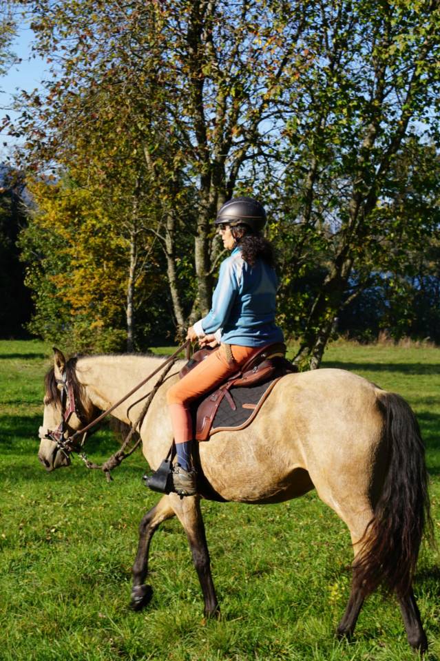 Yegua Lusitano En venta 2020 Isabelo