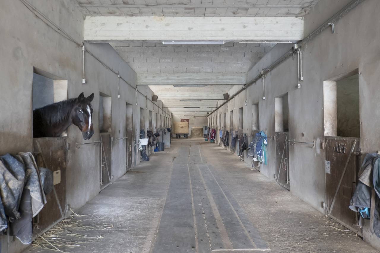 Propiedad ecuestre En venta Sena y Marne