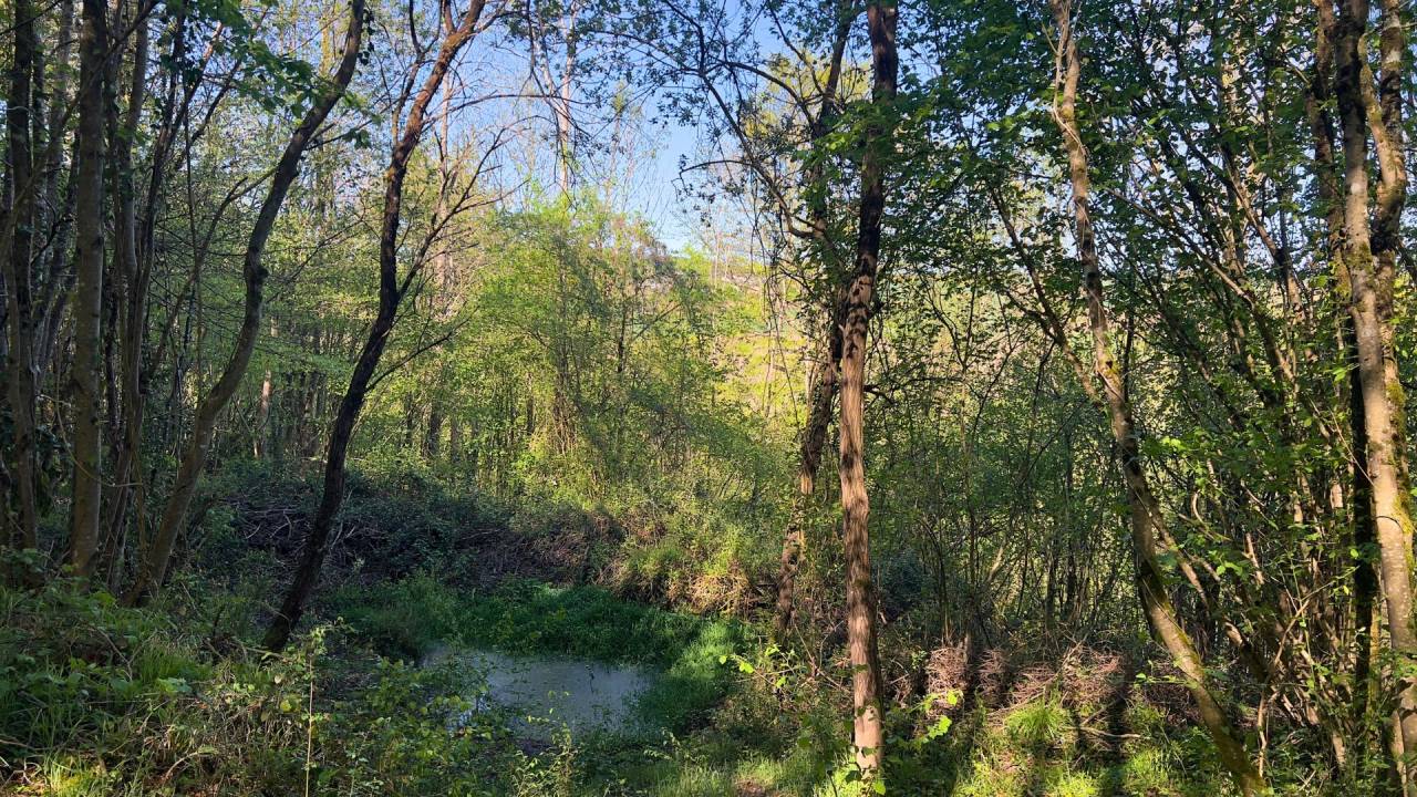 Propiedad ecuestre En venta Alto Garona