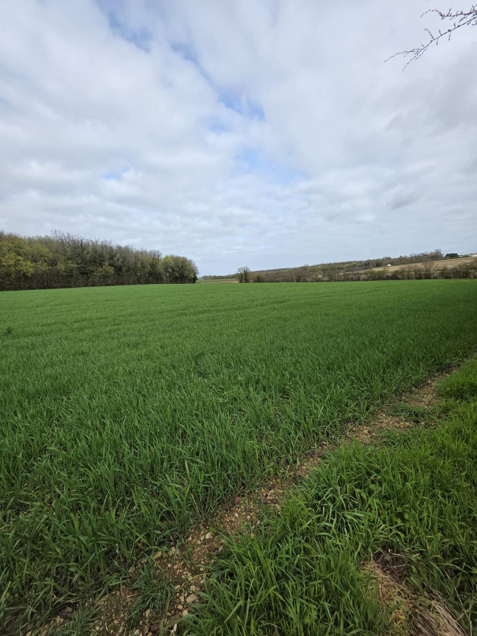 Centro ecuestre En venta Charente Mar&iacute;timo