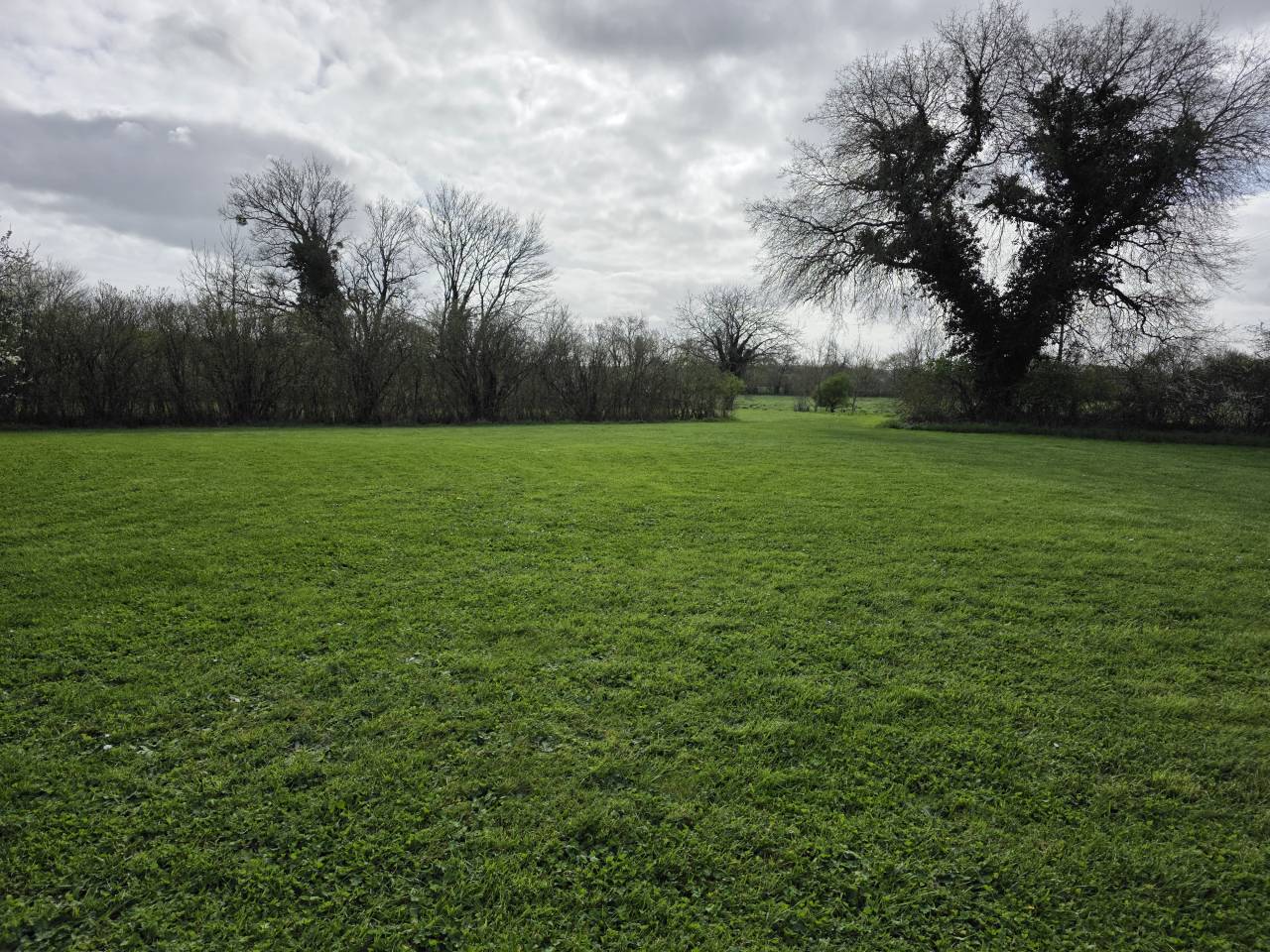 Centro ecuestre En venta Charente Mar&iacute;timo