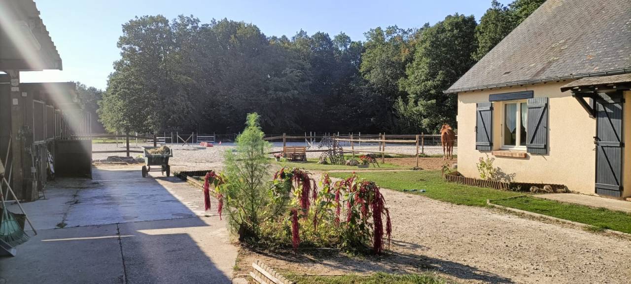 Albergue ecuestre En venta Eure