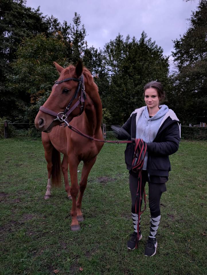 Yegua Hannoveraner *2022 *Vitalis x Rosengold 