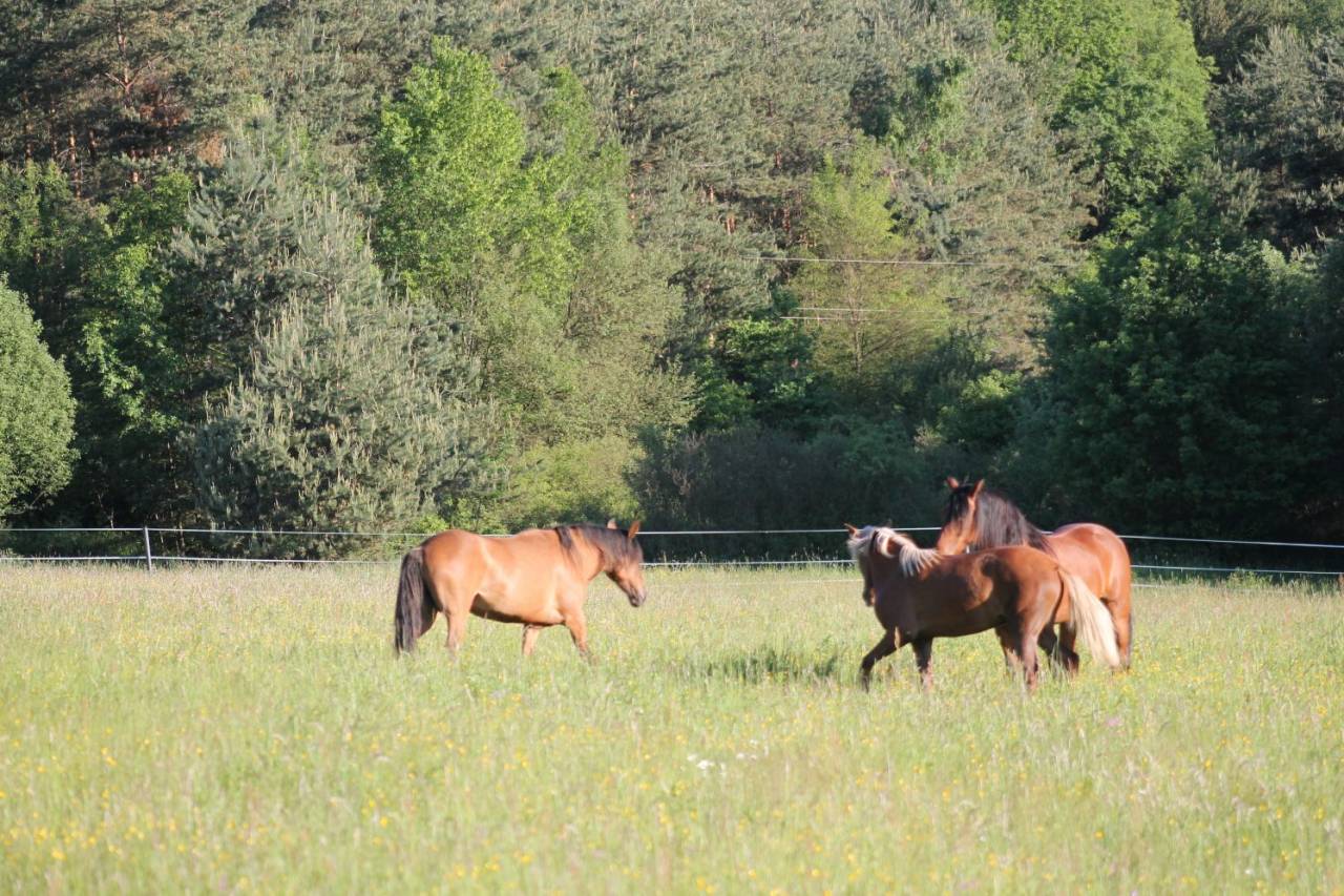 Propiedad ecuestre En venta 