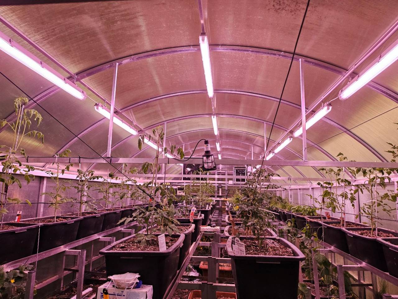 Propiedad ecuestre En venta 