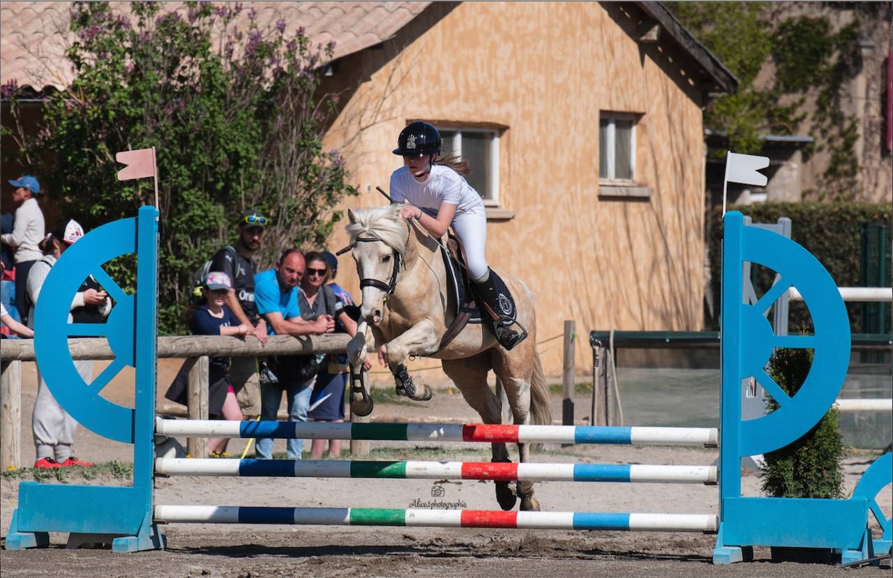 Caballo castrado PFS Poni Fran&ccedil;&eacute;s de Silla En venta 2017 Palomino por SNOOPY DES ETISSES (PFS)