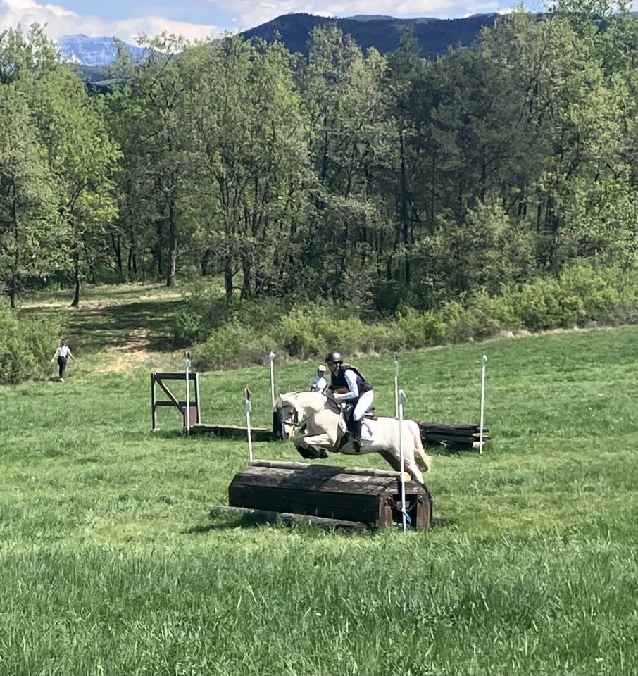 Caballo castrado PFS Poni Fran&ccedil;&eacute;s de Silla En venta 2017 Palomino por SNOOPY DES ETISSES (PFS)