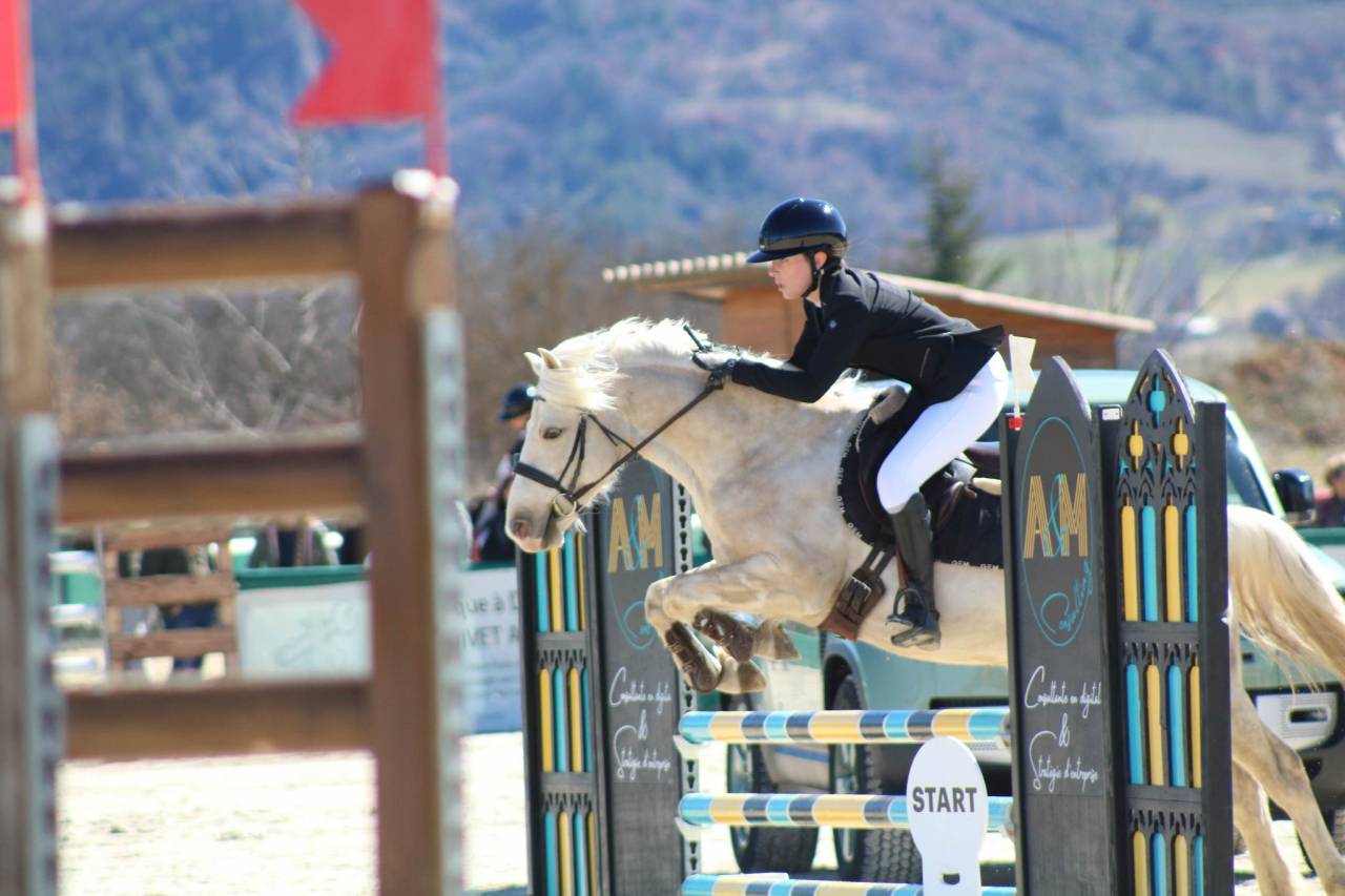 Caballo castrado PFS Poni Fran&ccedil;&eacute;s de Silla En venta 2017 Palomino por SNOOPY DES ETISSES (PFS)