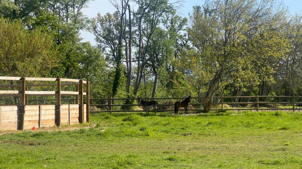 Propiedad ecuestre En venta Vaucluse