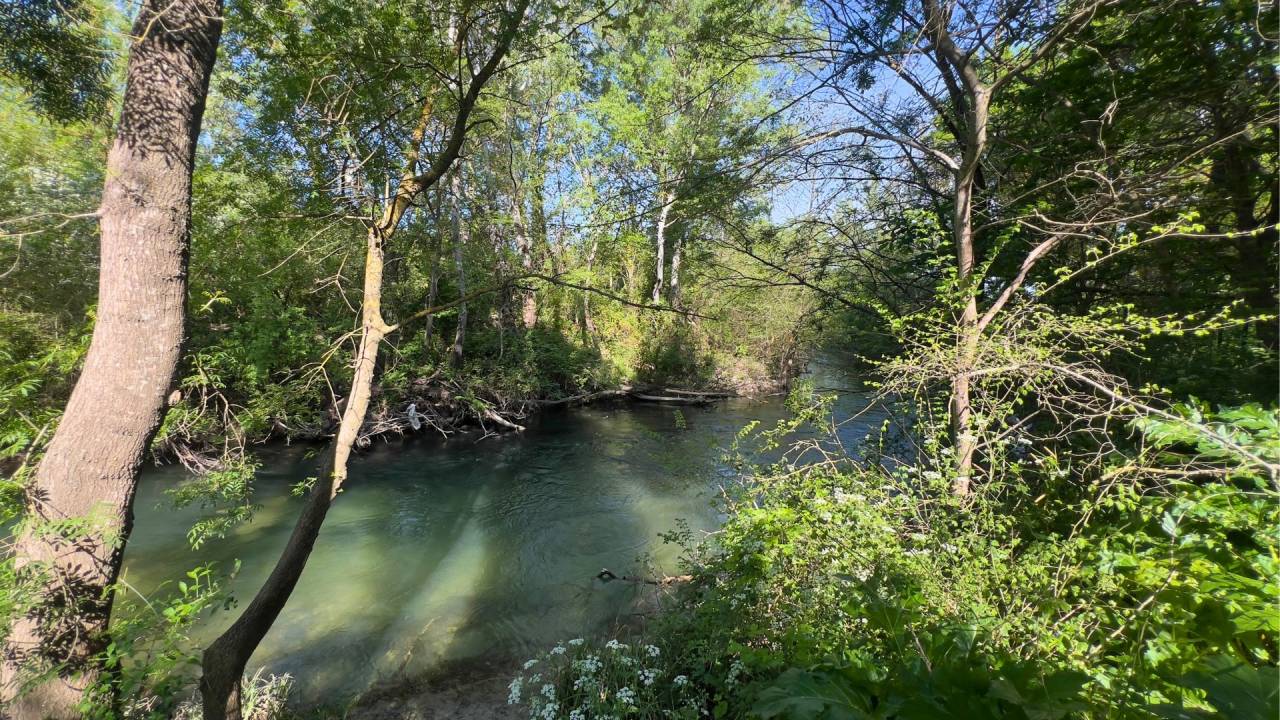 Propiedad ecuestre En venta Vaucluse