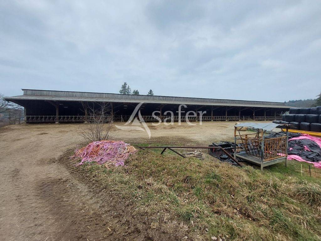 Explotaci&oacute;n ovina En venta Creuse