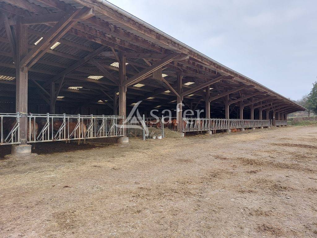 Explotaci&oacute;n ovina En venta Creuse