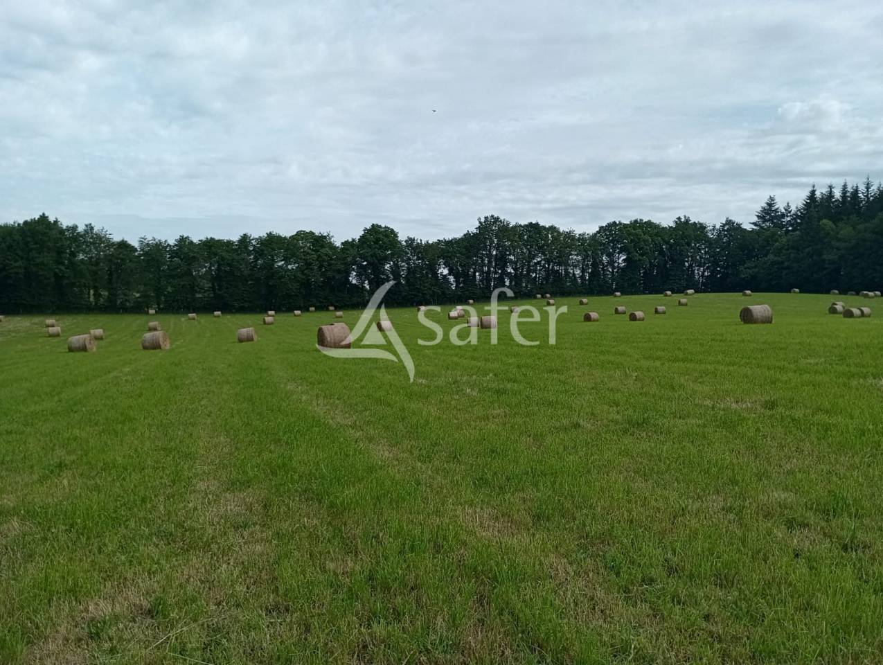 Explotaci&oacute;n ovina En venta Creuse