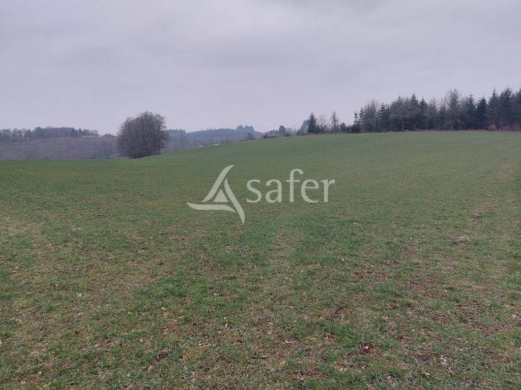 Explotaci&oacute;n ovina En venta Creuse