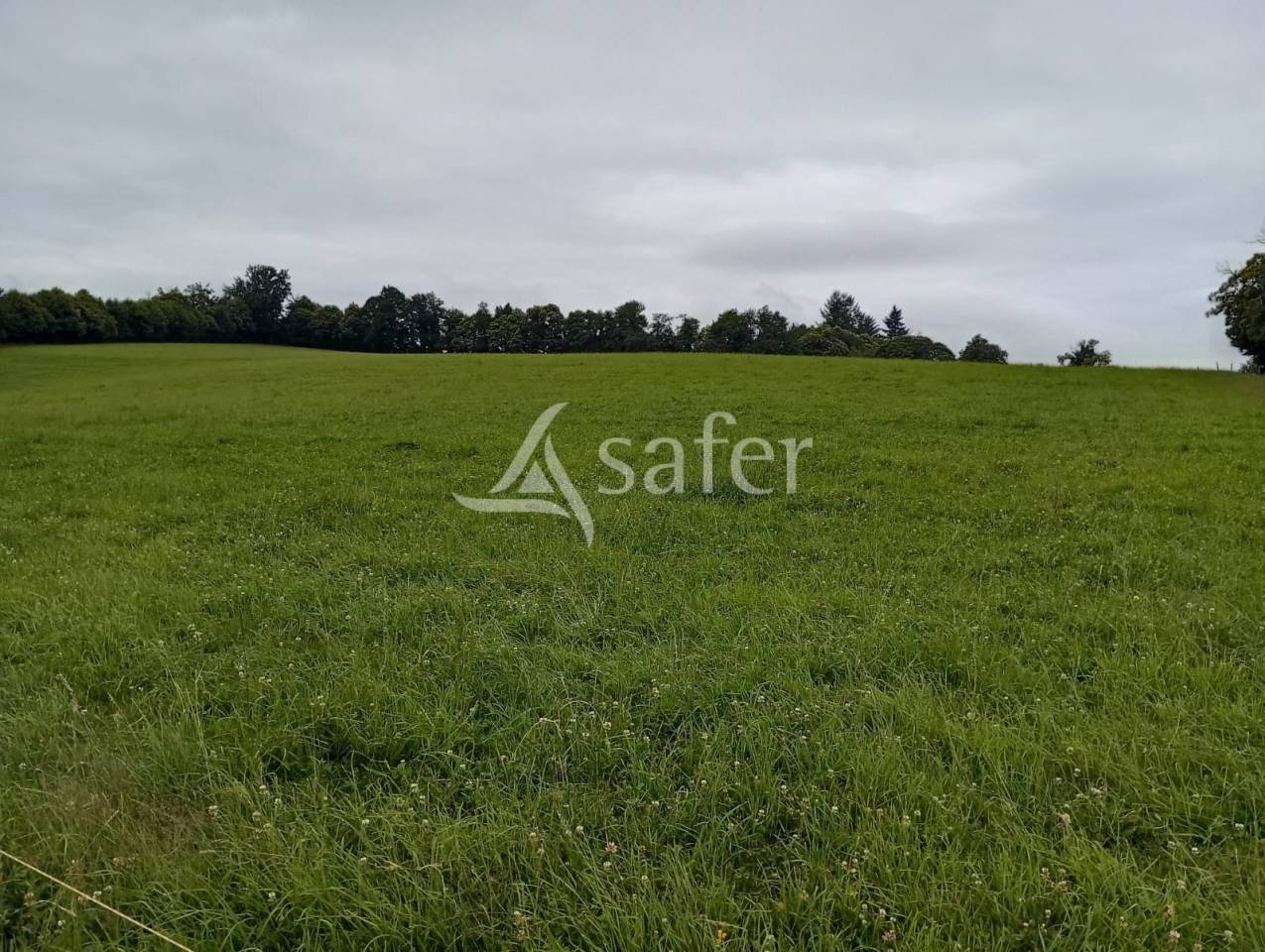 Explotaci&oacute;n ovina En venta Creuse