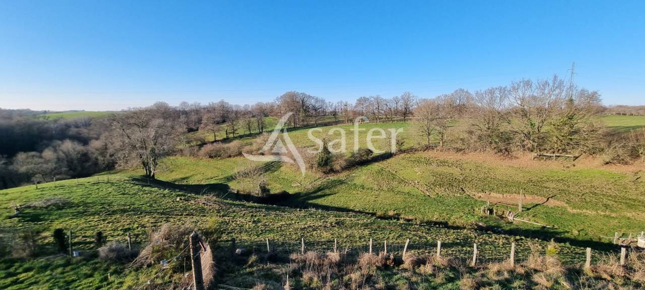 Explotaci&oacute;n agr&iacute;cola En venta Aveyron