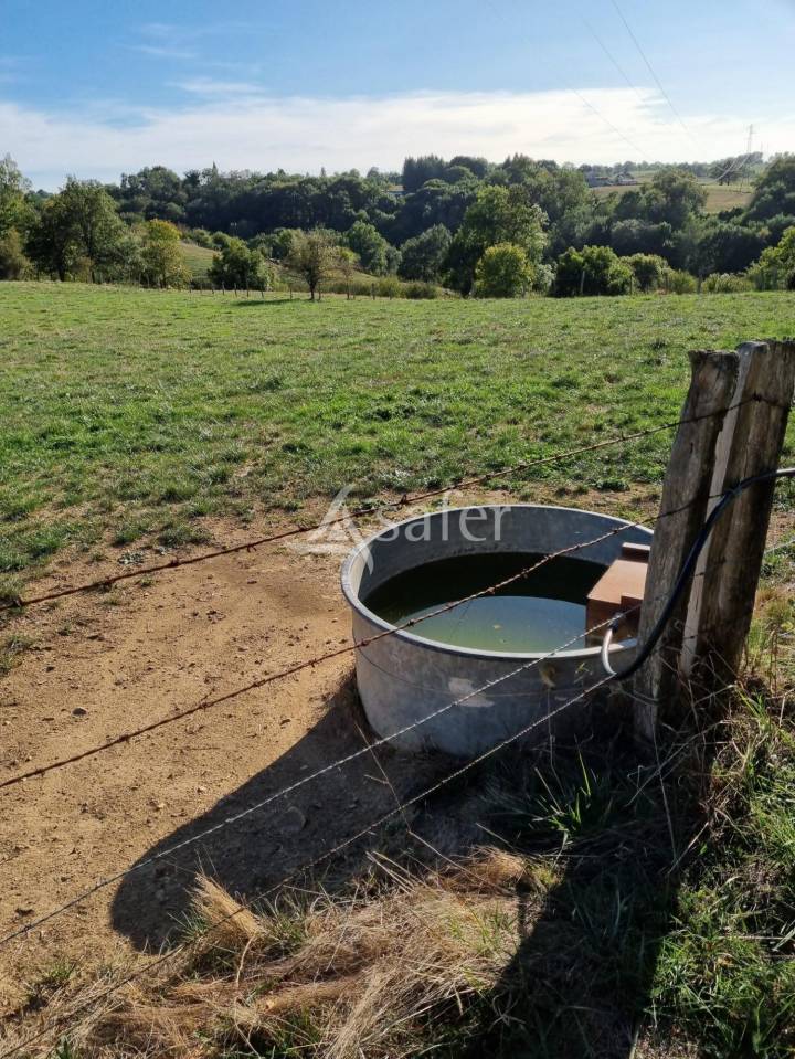 Explotaci&oacute;n agr&iacute;cola En venta Aveyron