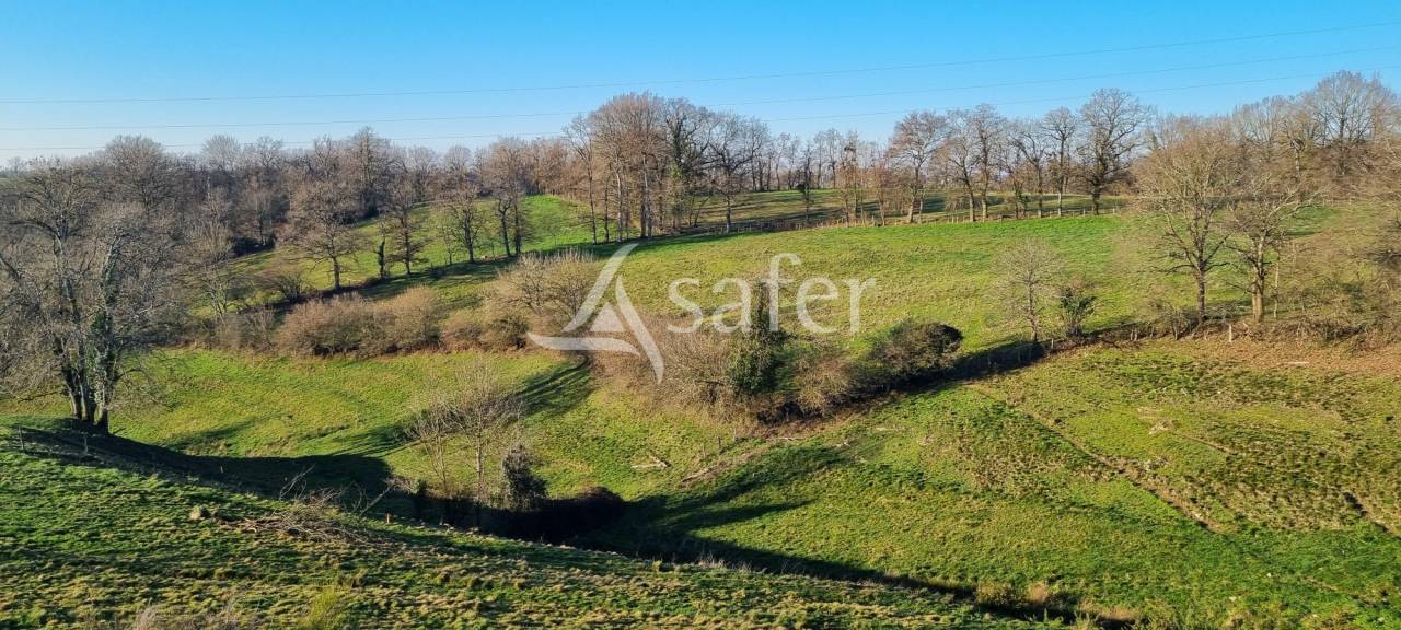 Explotaci&oacute;n agr&iacute;cola En venta Aveyron