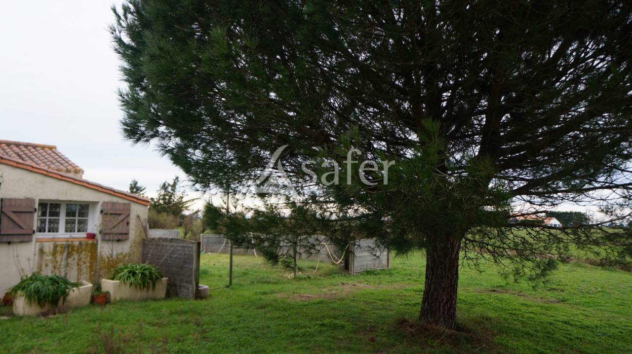 Propiedad ecuestre En venta Vend&eacute;e